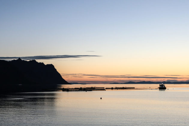 Aquaculture farm in the sunset at Senja, Norway.