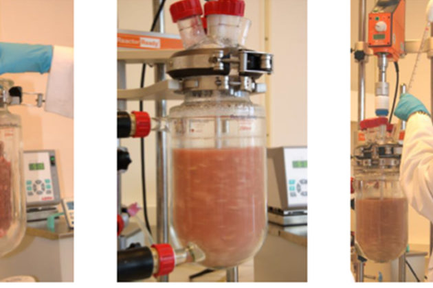 The start of a hydrolysis process.