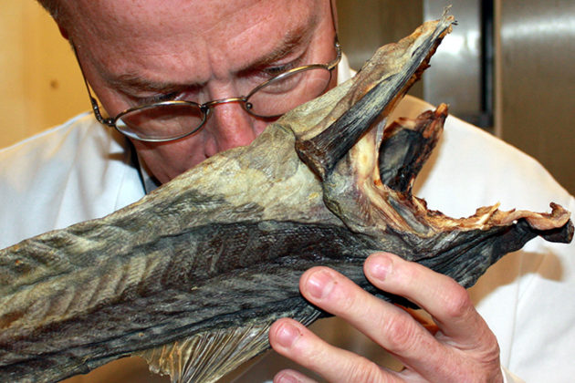 Dried Stockfish - The Tradition Lives On - Norwegian stockfish