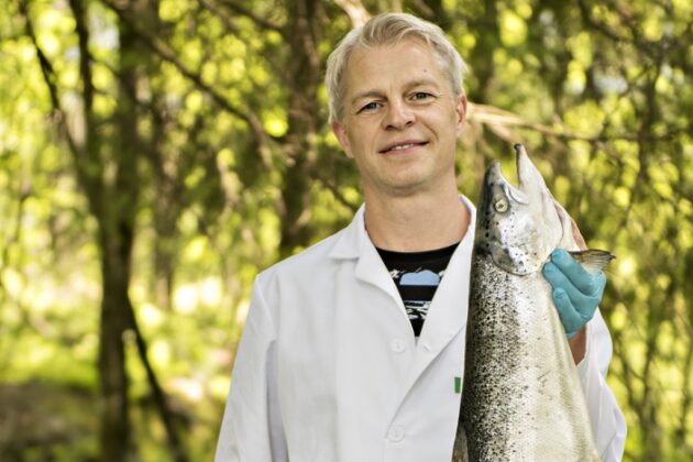 5 Signs That Fish Is Fresh - Do you know how to recognize it