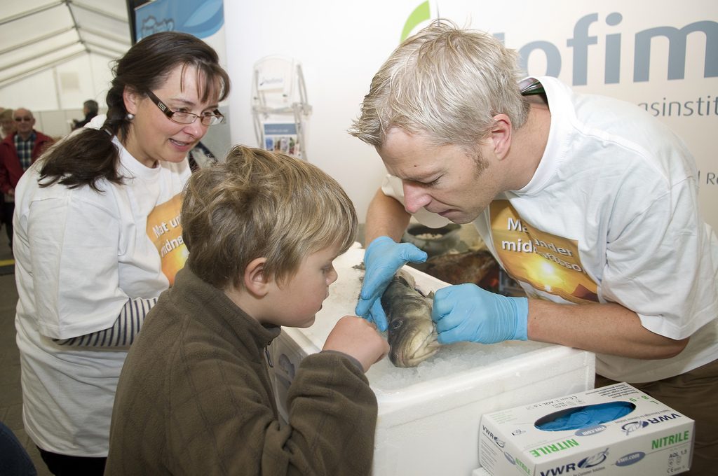 Sensory scientist Mats Carlehög examines the eyes of a cod along with an interested young man. Head of Research Heidi Nilsen is watching.