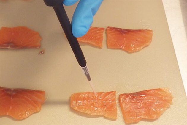 The reseachers will use enzymes to reduce the food safety risks and costs associated with salmon.