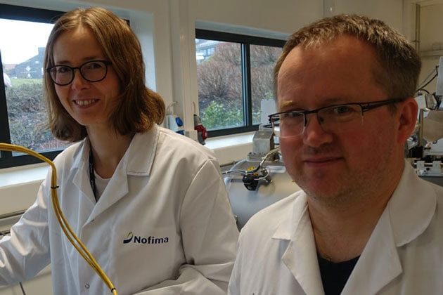 Researchers Tone Mari Rode and Trond Løvdal use high pressure, among other things, to destroy the dreaded listeria bacteria in food.