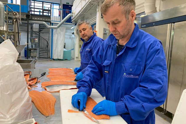 Torbjørn Tobiassen and his research colleagues use different methods to assess the fish’s food quality characteristics.