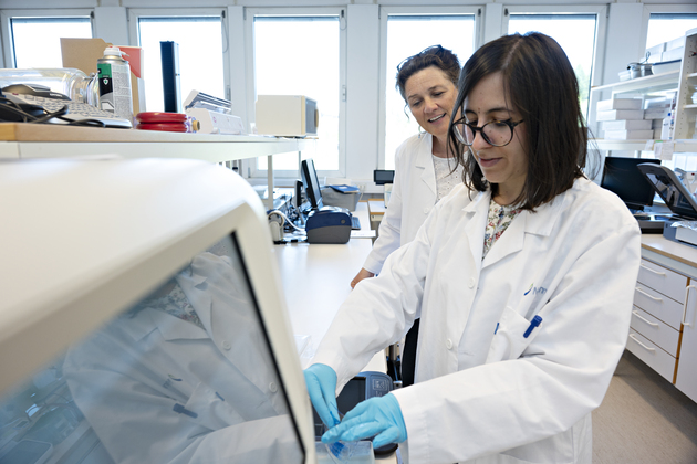 In the ARRIVAL project the researchers search for solutions to increase the use of alternative animal proteins.