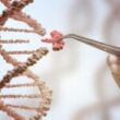 Thumbnail for Use of gene-edited cell lines in aquaculture