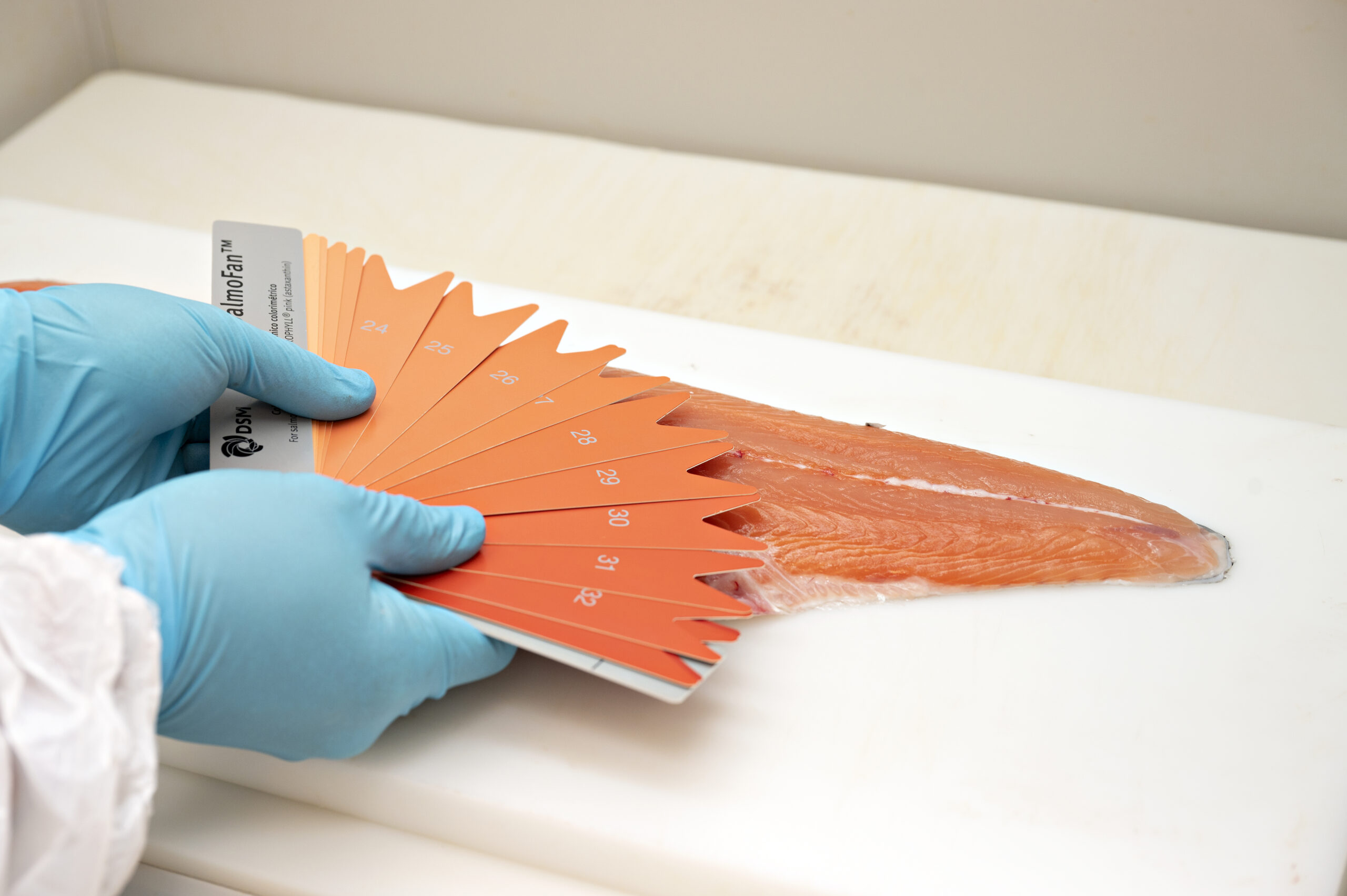 Astaxanthin manufacturer