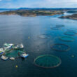 Thumbnail for Reasons for rejection of aquaculture site applications