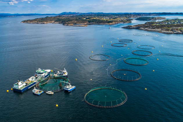 Why are some aquaculture site applications refused, while others are granted approval? In this project, researchers will provide th answers.