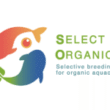 Thumbnail for Development of selective breeding programs for boosting organic fish farming in Europe