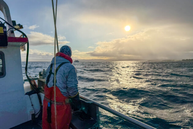 Fishing in Varangerfjord